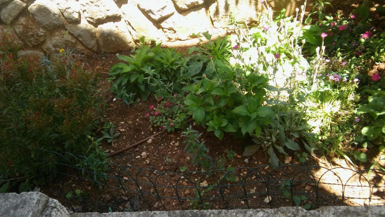 Apartmani Vitkovic II Cres Luaran gambar